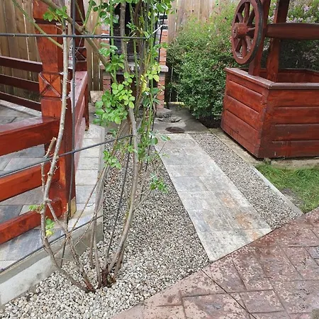 Jasmine Villa Prejmer